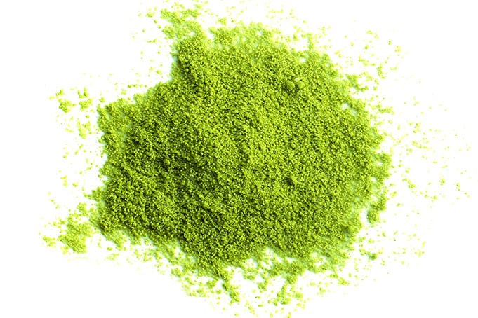 <h1>Metabolism Support</h1>