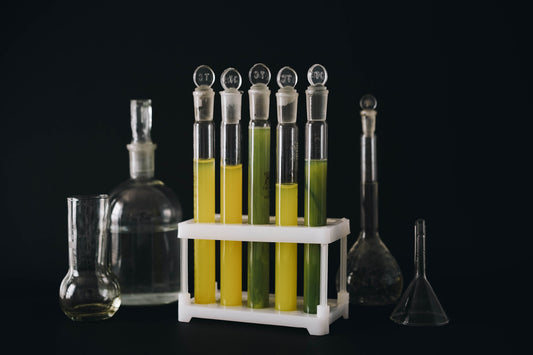 Nutrient Synergy: Why It's Not Just About What You Take, But How It Works Together