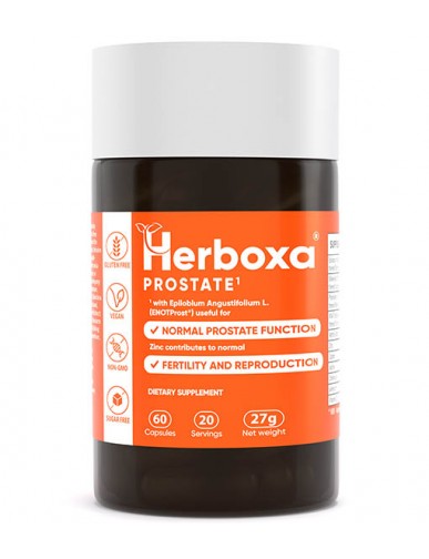 Herboxa Garlic Heart Supplements Benefits.